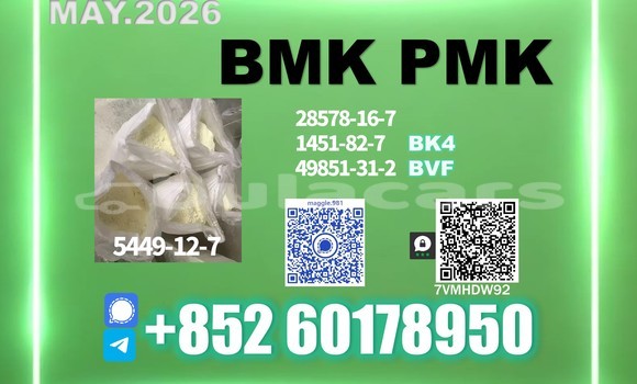 Medium with watermark bmk cas 5449 12 7 purity 99 percent verified
