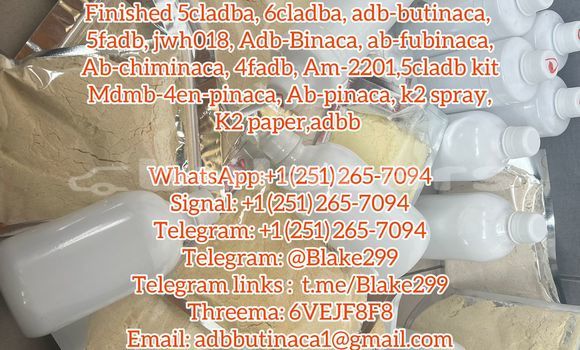 Medium with watermark 52366d18 d007 4f5f 813b 0e046df40176