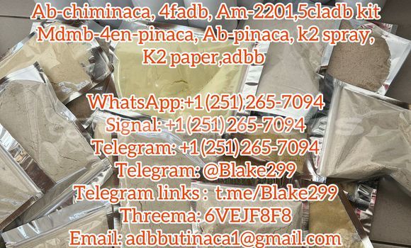Medium with watermark ac563caf 7a93 42b2 894a b86a8408670e