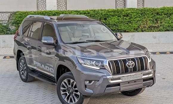 Buy Used Toyota Land Cruiser Prado Other Car in Suva in Central