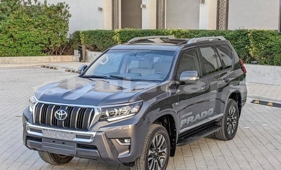 Buy Used Toyota Land Cruiser Prado Other Car in Suva in Central