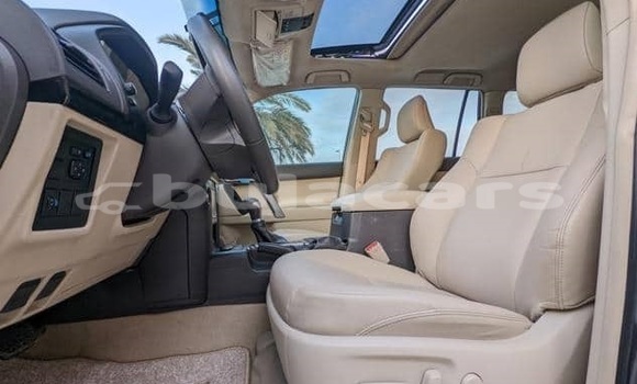 Buy Used Toyota Land Cruiser Prado Other Car in Suva in Central Buy Used Toyota Land Cruiser Prado Other Car in Suva in Central