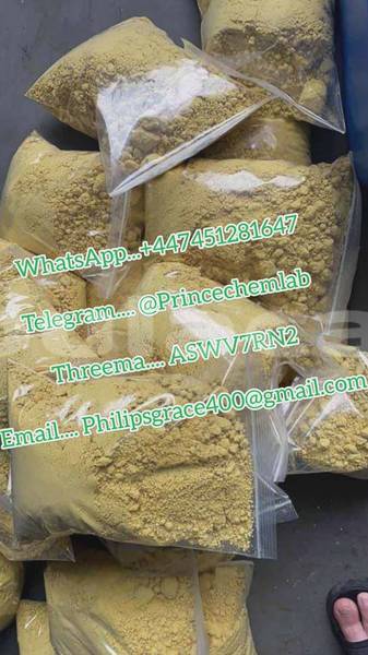 Big with watermark whatsapp image 2026 05 09 at 04.55.34