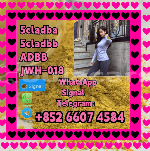 Big with watermark alfa romeo 146 central import dubai 16156