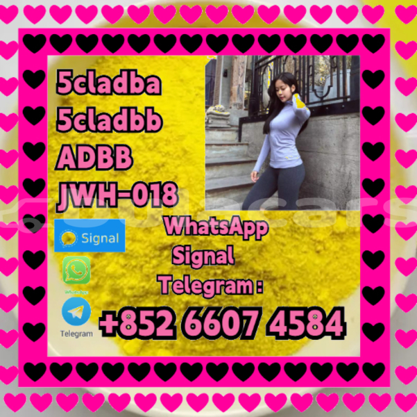Big with watermark alfa romeo 146 central import dubai 16156