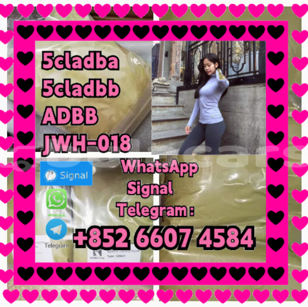 Big with watermark alfa romeo 146 central import dubai 16156