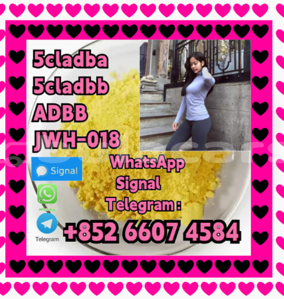 Big with watermark alfa romeo 146 central import dubai 16156
