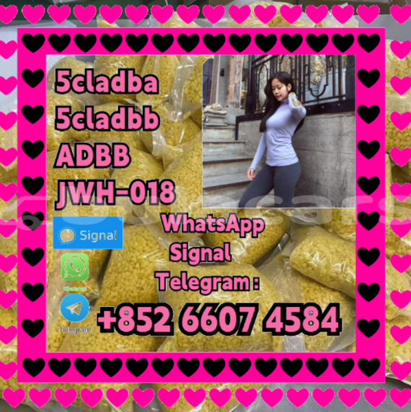 Big with watermark alfa romeo 146 central import dubai 16156