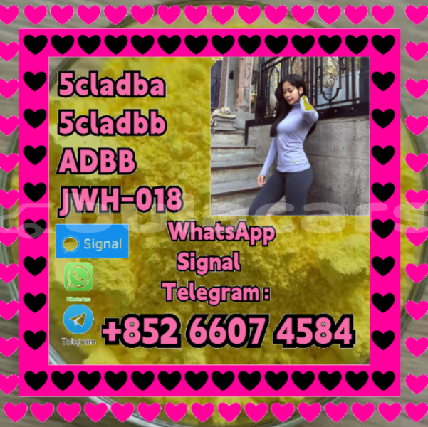 Big with watermark alfa romeo 146 central import dubai 16156