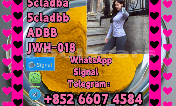 Medium with watermark cba91f50 7e91 494a 8efc 09ee818b1214