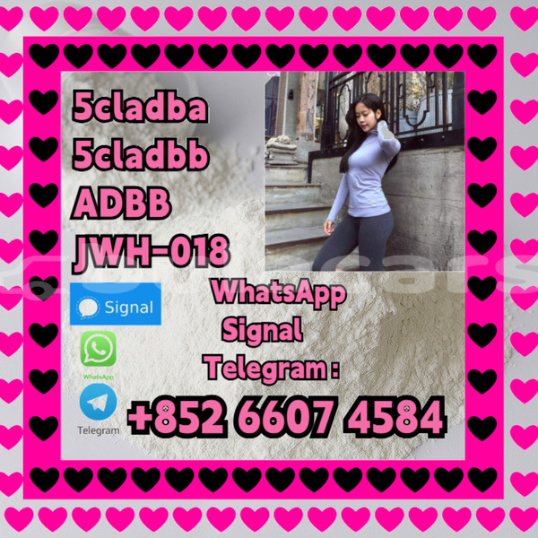 Big with watermark chatgpt image jul 4 2025 12 23 09 pm 1