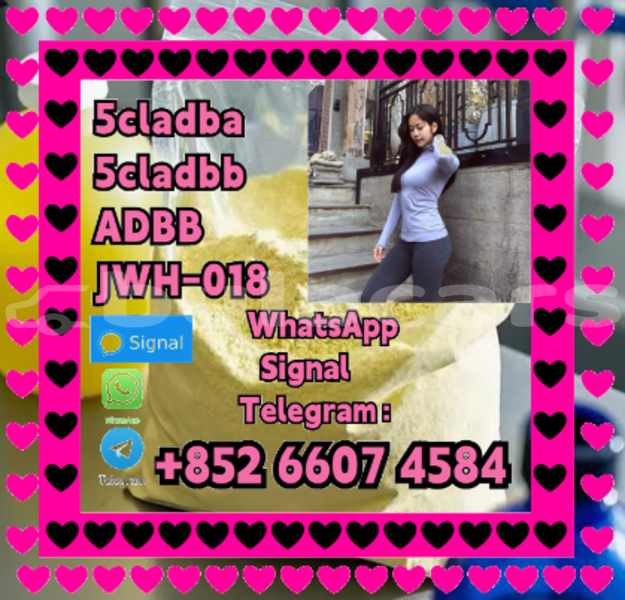 Big with watermark screenshot 2 2