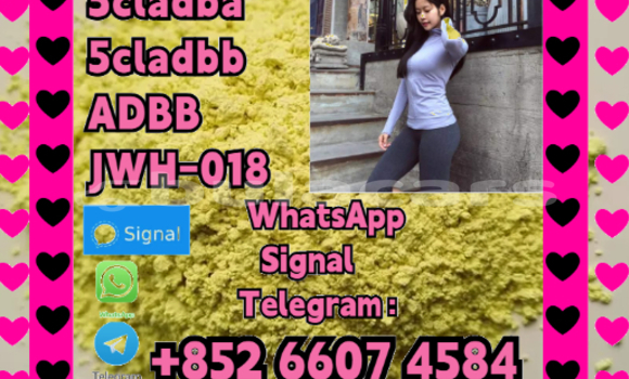 Acheter 5cladba Yellow Powder à Import - Dubai, Central Acheter 5cladba Yellow Powder à Import - Dubai, Central
