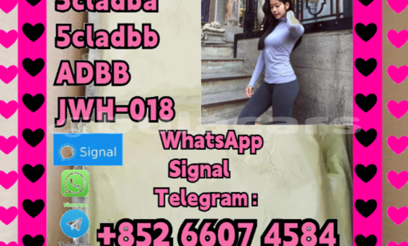 Acheter 5cladba Yellow Powder à Import - Dubai, Central Acheter 5cladba Yellow Powder à Import - Dubai, Central