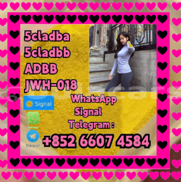 Big with watermark screenshot 9
