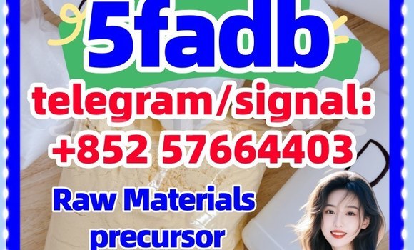 Medium with watermark 53
