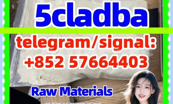 Medium with watermark 51