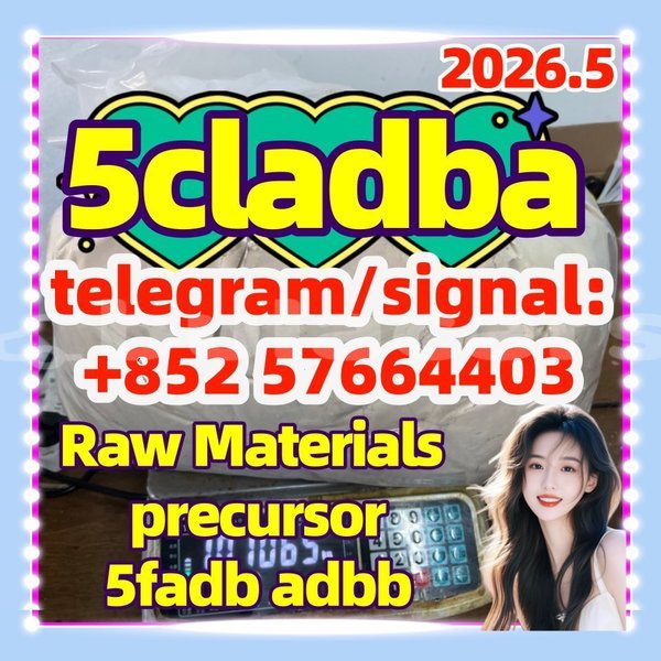 Big with watermark 55