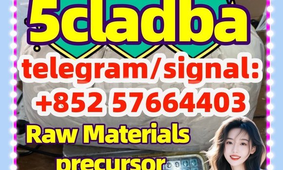 Medium with watermark 55