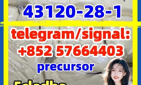 Medium with watermark 43120