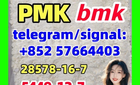 Medium with watermark bp2