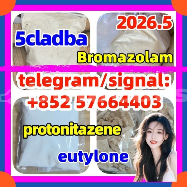 Big with watermark z1