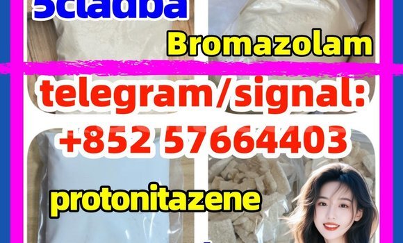Medium with watermark z1