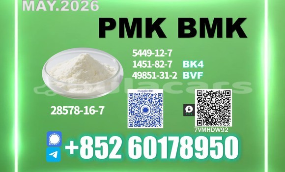 Medium with watermark pmk cas 28578 16 7 purity 99 percent verified
