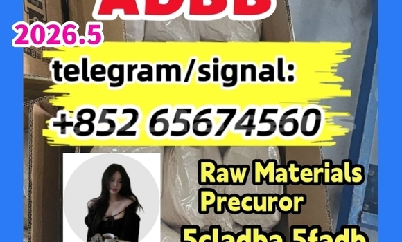 Medium with watermark photo 2026 03 04 10 21fdbfgb 30 %e5%89%af%e6%9c%ac %e5%89%af%e6%9c%ac