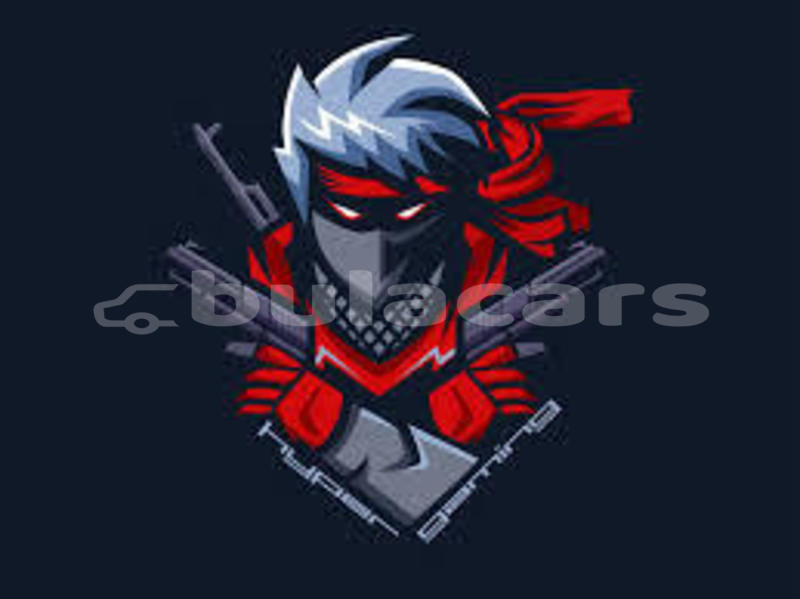 Big with watermark images