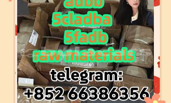Medium with watermark 2