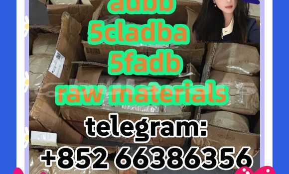 Medium with watermark 10