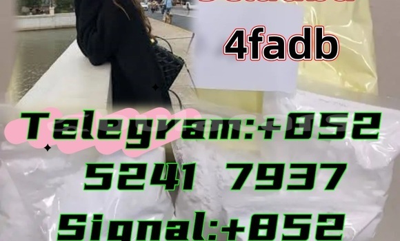 Buy New Adler 1902 Beige Bike in Ba in Western