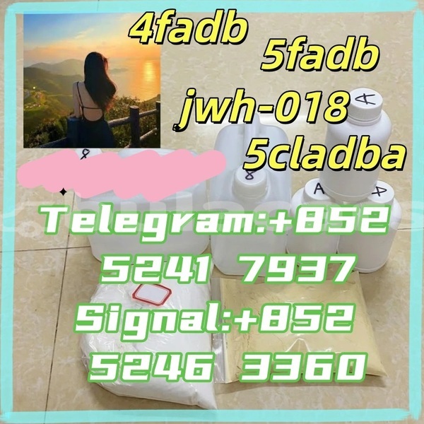 Big with watermark adler 1902 western ba 16259