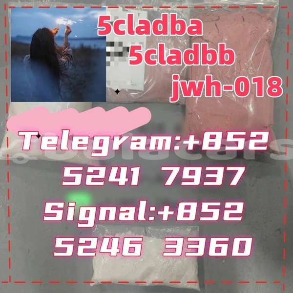 Big with watermark adler 1902 western ba 16260