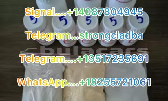 Medium with watermark a10