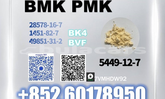 Medium with watermark bmk cas 5449 12 7 sodium salt