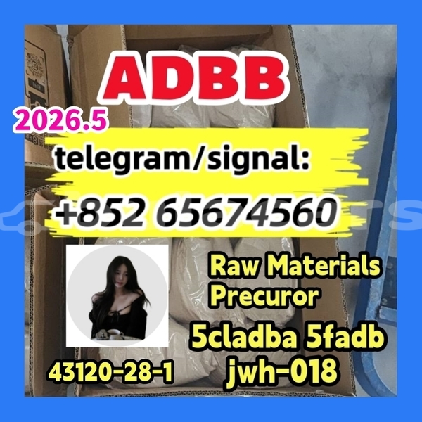Big with watermark photo 2026 03 04 10 21fdbfgb 30 %e5%89%af%e6%9c%ac %e5%89%af%e6%9c%ac