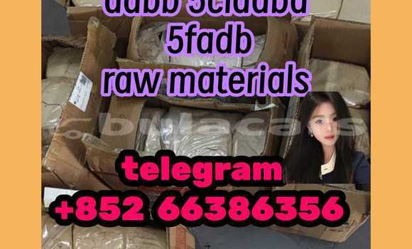 Medium with watermark 1