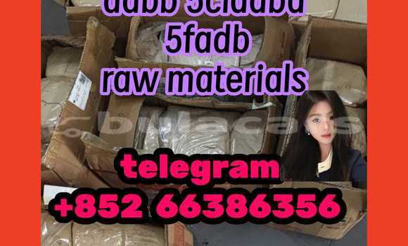 Medium with watermark 2