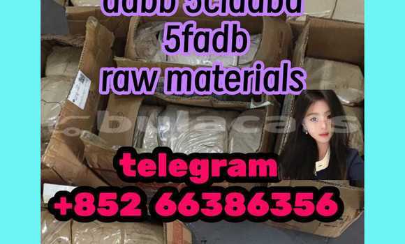 Medium with watermark 4