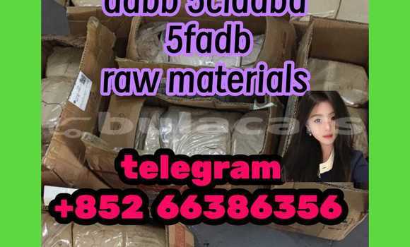 Medium with watermark 5