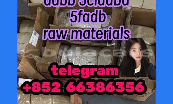 Medium with watermark 6