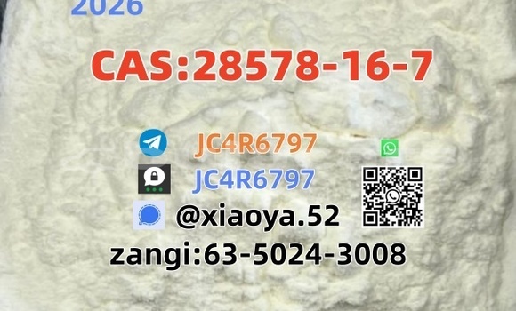  CAS 28578-16-7In Stock