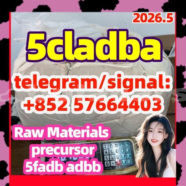 Big with watermark 5cl5
