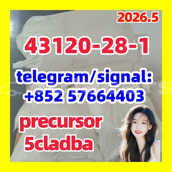 Big with watermark 43121