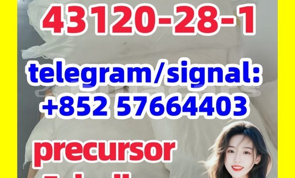 Medium with watermark 43121