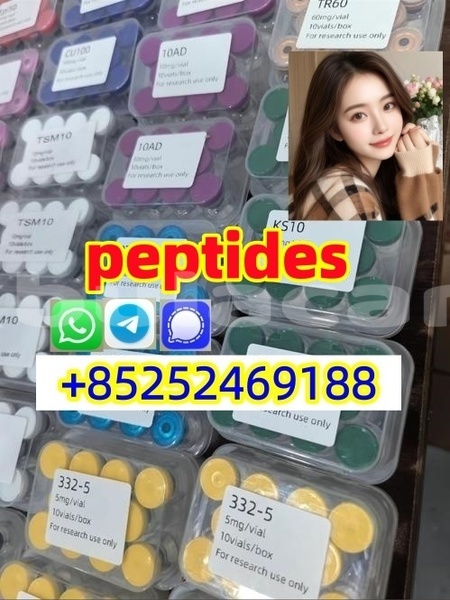 Big with watermark 4.1 %e5%89%af%e6%9c%ac %e5%89%af%e6%9c%ac