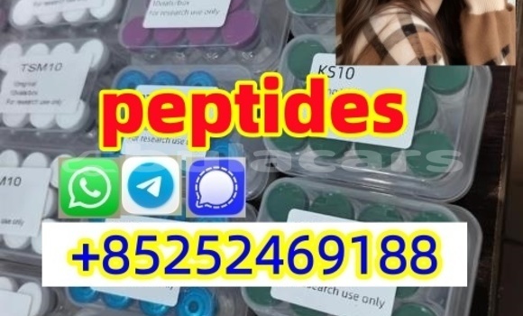 Medium with watermark 4.1 %e5%89%af%e6%9c%ac %e5%89%af%e6%9c%ac