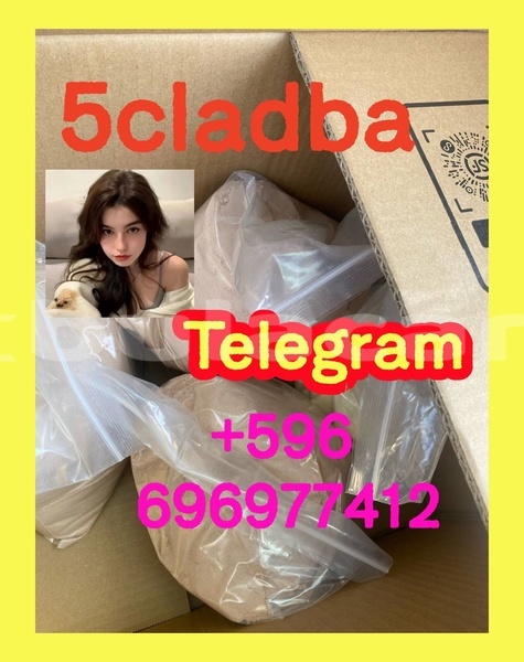 Big with watermark 2.2 %e5%89%af%e6%9c%ac